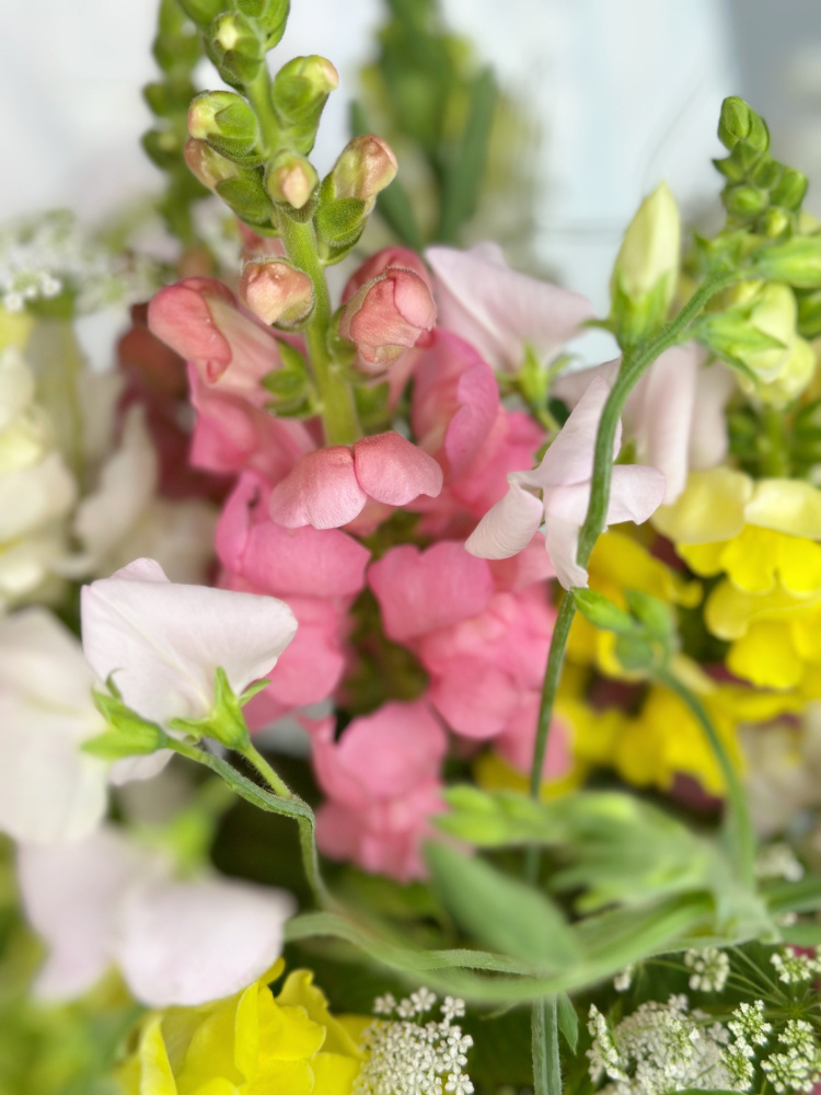 ЛЕТНИЙ БУКЕТ С ЛЬВИНЫМ ЗЕВОМ И ДУШИСТЫМ ГОРОШКОМ ЛЕТНИЙ БУКЕТ С ЛЬВИНЫМ ЗЕВОМ И ДУШИСТЫМ ГОРОШКОМ