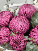 Букет из фиолетовых хризантем Бигуди и эвкалипта
