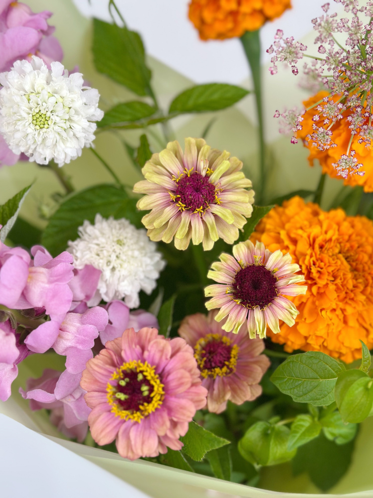 БУКЕТ С ЦИННИЕЙ И ДРУГИМИ ФЕРМЕРСКИМИ ЦВЕТАМИ БУКЕТ С ЦИННИЕЙ И ДРУГИМИ ФЕРМЕРСКИМИ ЦВЕТАМИ