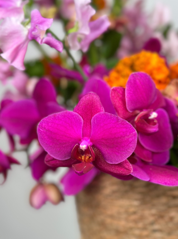 ЯРКАЯ КОРЗИНА С ЛЕТНИМИ ЦВЕТАМИ ЯРКАЯ КОРЗИНА С ЛЕТНИМИ ЦВЕТАМИ