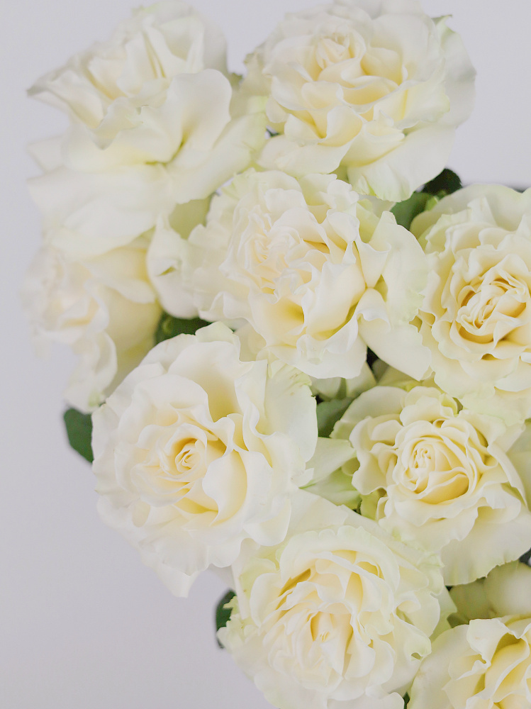 БУКЕТ ИЗ БЕЛОЙ ФРАНЦУЗСКОЙ РОЗЫ