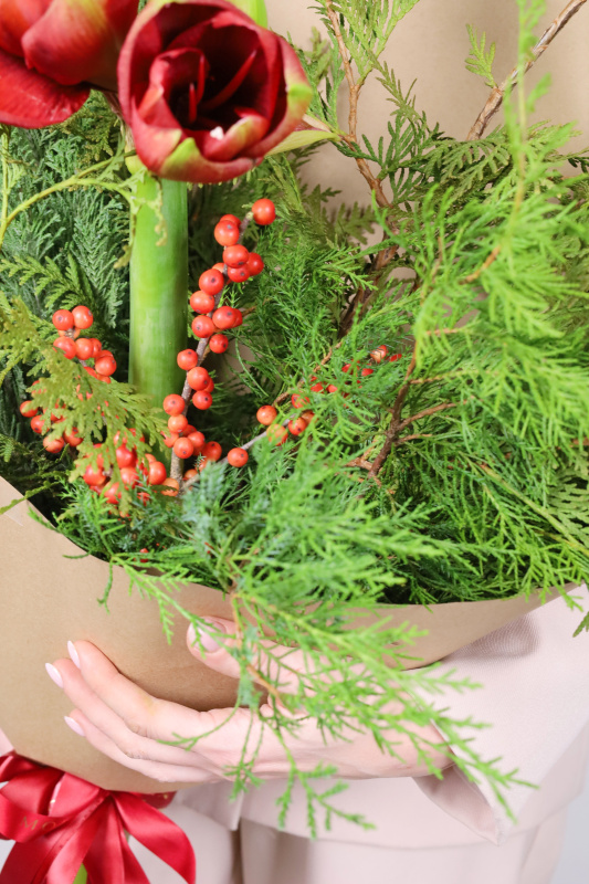 ХВОЙНЫЙ МИКС С ИЛЕКСОМ И АМАРИЛЛИСОМ