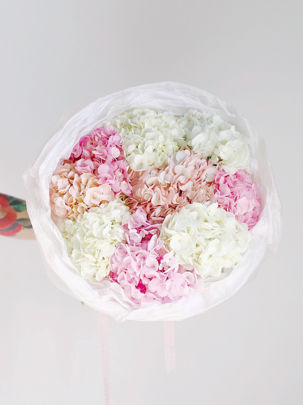 БУКЕТ 9 ГОРТЕНЗИЙ БУКЕТ 9 ГОРТЕНЗИЙ